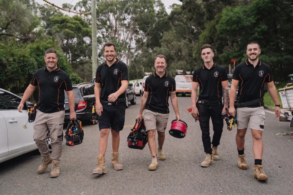 Professional electrical services in Edgecliff